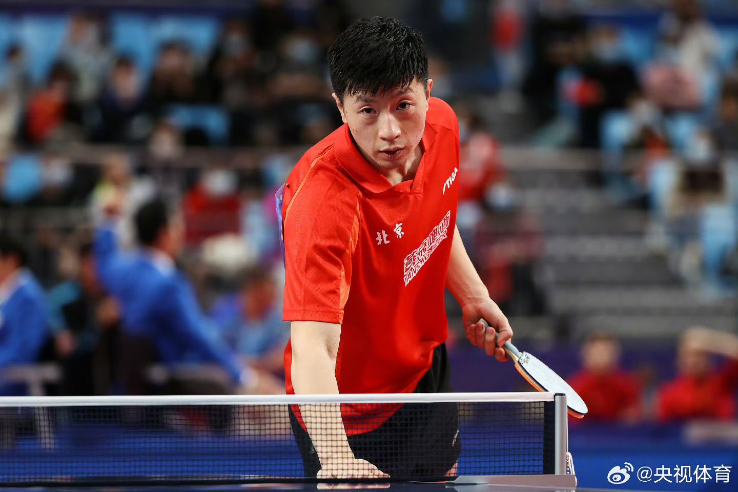 关于英国乒乓球队爆冷日本乒乓球队,马龙高光表现的信息 关于英国乒乓球队爆冷日本乒乓球队,马龙高光表现的信息