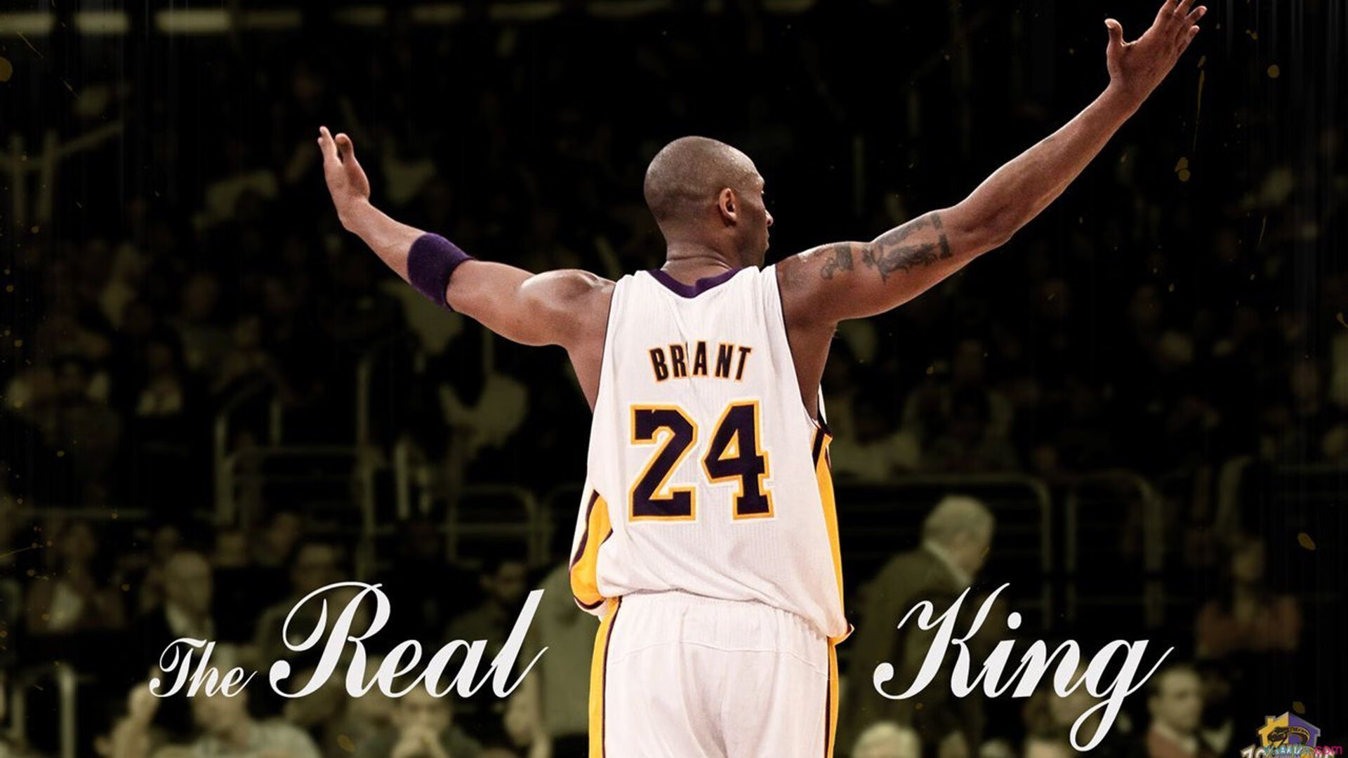 欧冠决赛焦点战启示录，北京队的强压哲学如何重塑现代篮球